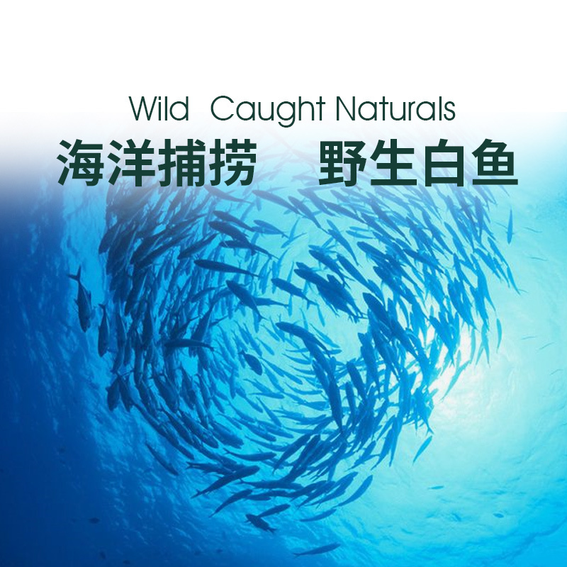 ZEAL全价软犬粮含白鱼肉配方3kg