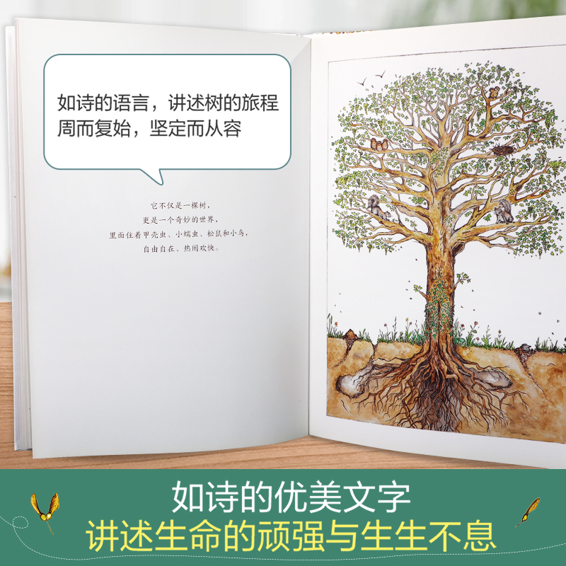 从一粒种子开始 [正版]童书从一粒种子开始 3-6岁绘本故事书 睡前故事书 亲子互动 精装硬皮绘本 成长教育 儿童绘本故高清大图