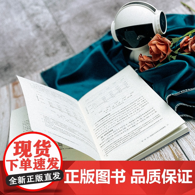 长江三角洲区域教育基础数据发展报告 2021 中国战略区域教育基础数据发展报告 正版 华东师范大学出版社高清大图