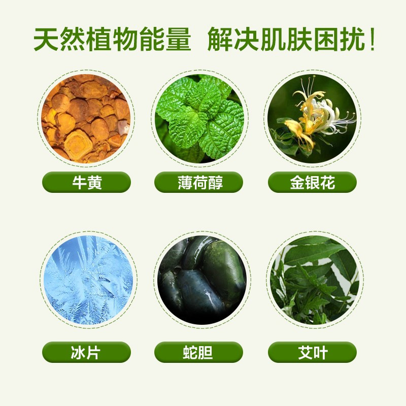 六神艾叶抑菌洗手液清爽型易冲洗 洁净舒适清香家用通用正品 洗手液六神 500ml*12瓶(整箱