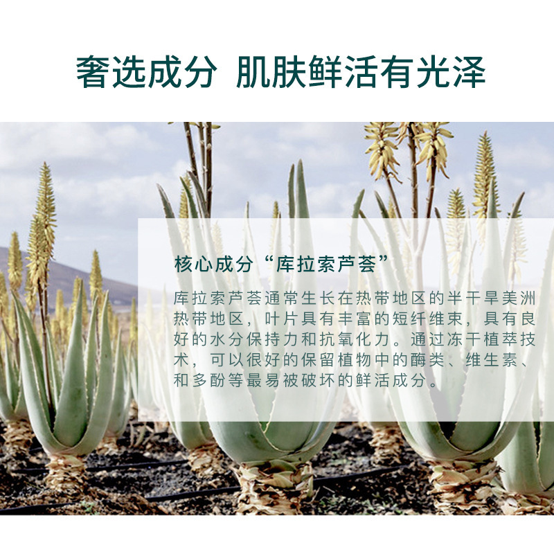 芦荟胶300g[39.9拍3件] [拍1发4]精萃水润芦荟胶补水保湿水润润泽肌肤舒爽不油腻20g