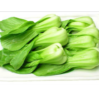 矮脚富士青梗菜种子上海青蔬菜