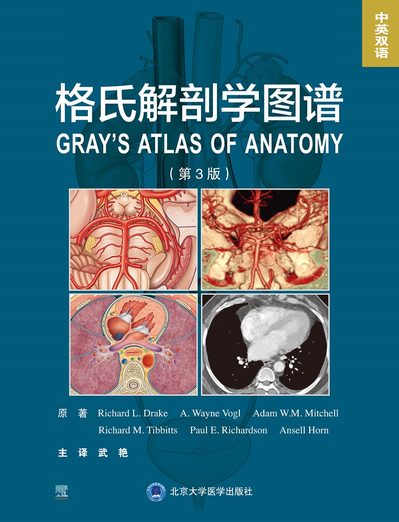 [正版]格氏解剖学图谱 第3三版 中英双语 解剖学方位术语和平面 解剖学平面和影像 背部胸部腹部图解 武艳主译 北京大学高清大图