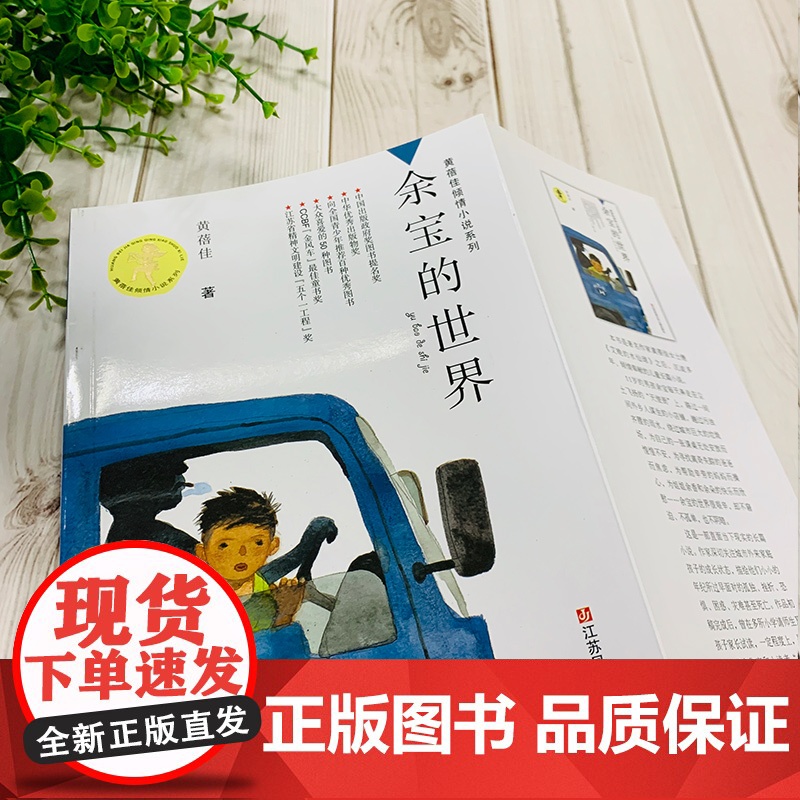 余宝的世界 正版黄蓓佳倾情小说,一部关注城市外来家庭孩子成长状态的作品高清大图