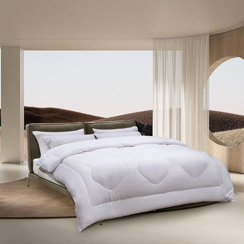 水星家纺 春秋被四季被被子被芯 抗菌四季被 杜桑 200×230cm LS图片