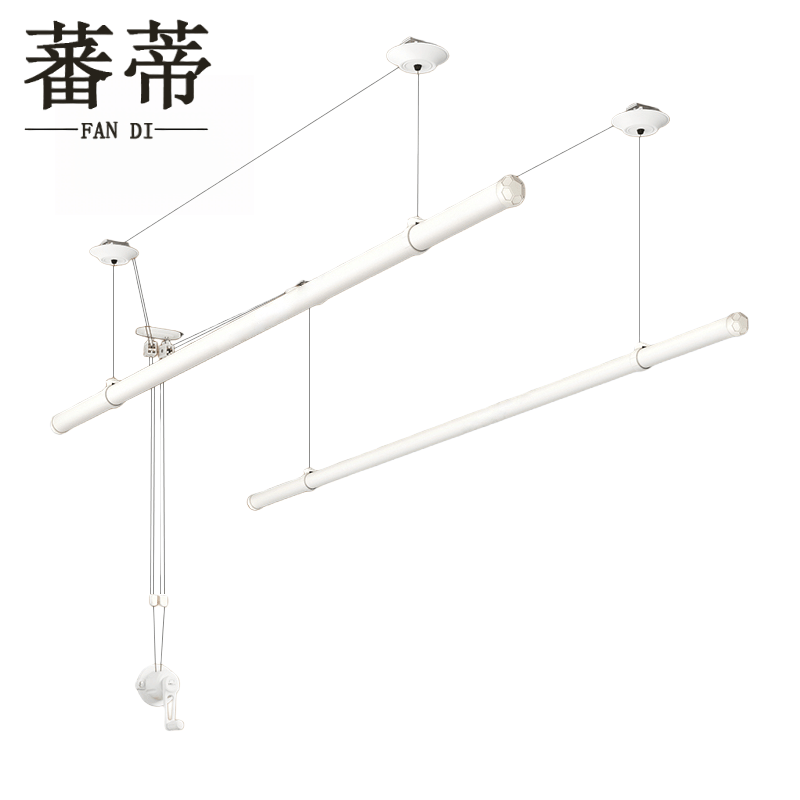 蕃蒂图片