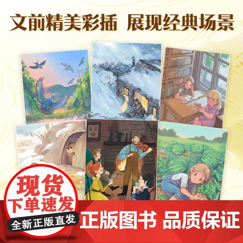 国际儿童文学经典系列全套6册 小学生三四五六年级课外阅读书纽伯瑞儿童文学金奖小说友情成长励志校园读物世界经典童话故事书正图片