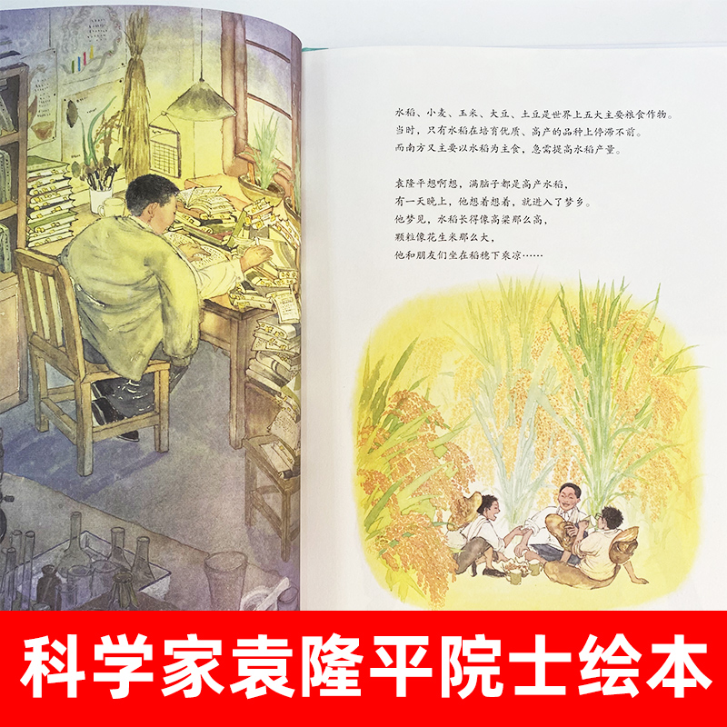 [1-3辑]共和国脊梁科学家绘本24册 [正版]一粒种子改变世界袁隆平的故事 共和国脊梁系列绘本 让孩子认识了解牢记袁隆高清大图