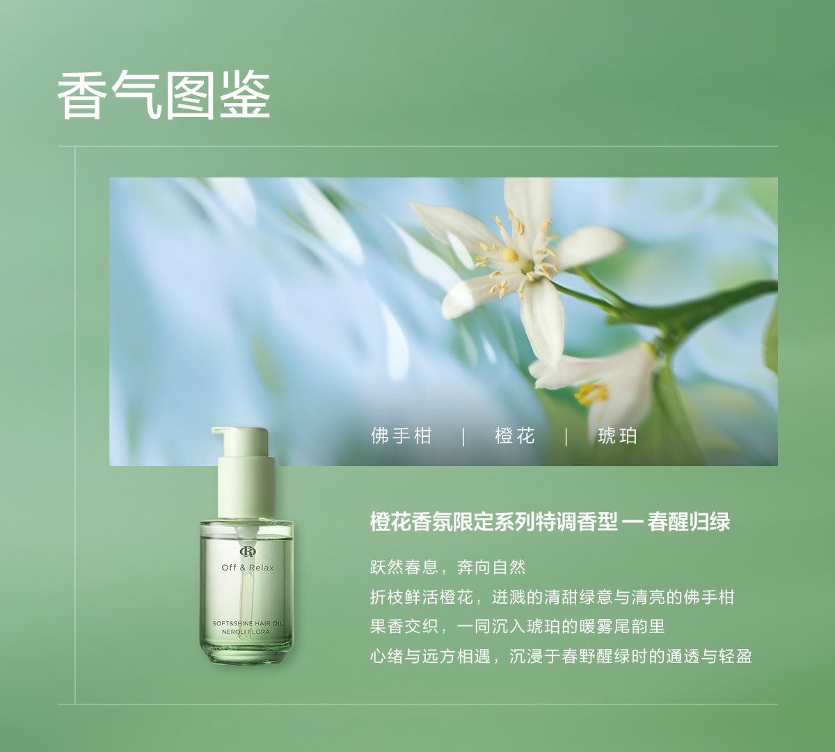 OffRelax护发精油50ml橙花香氛限定春日新款滋养芳香改善毛躁修护受损精华油高清大图