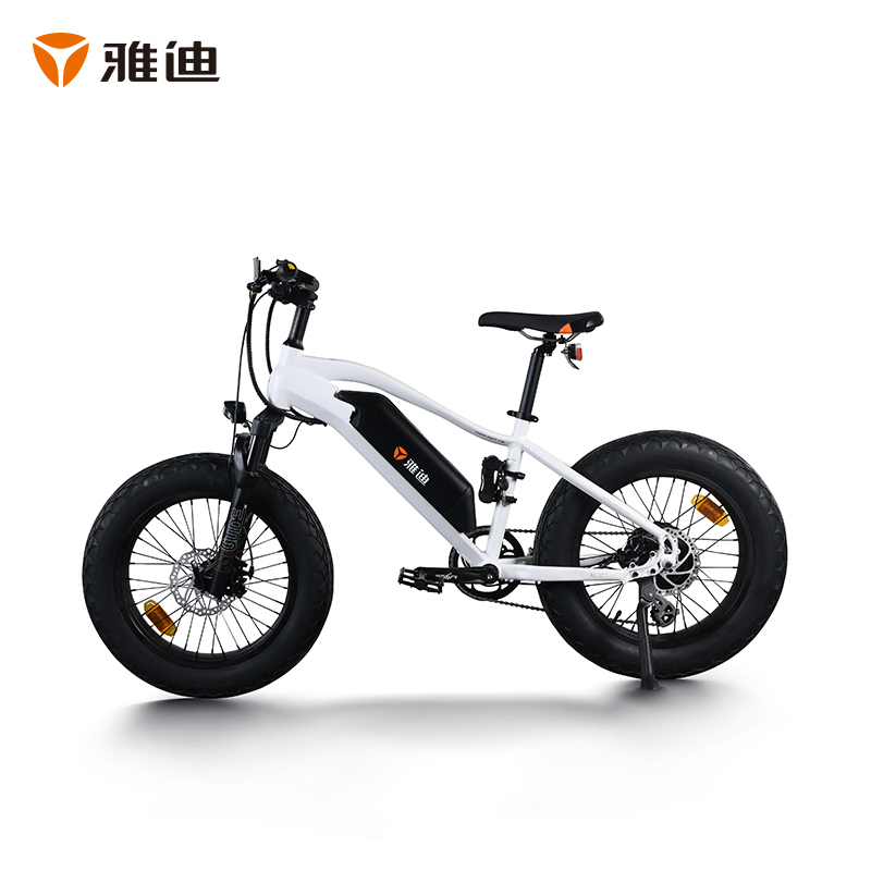 雅迪摩界mini20寸36v锂电自行车电动车电池可拆