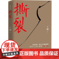 【全新正版】撕裂（著名作家丁捷继《初心》后最新文化反腐力作，以前所未有的诚恳，近距离逼视腐败真相。） 中国文联出版社