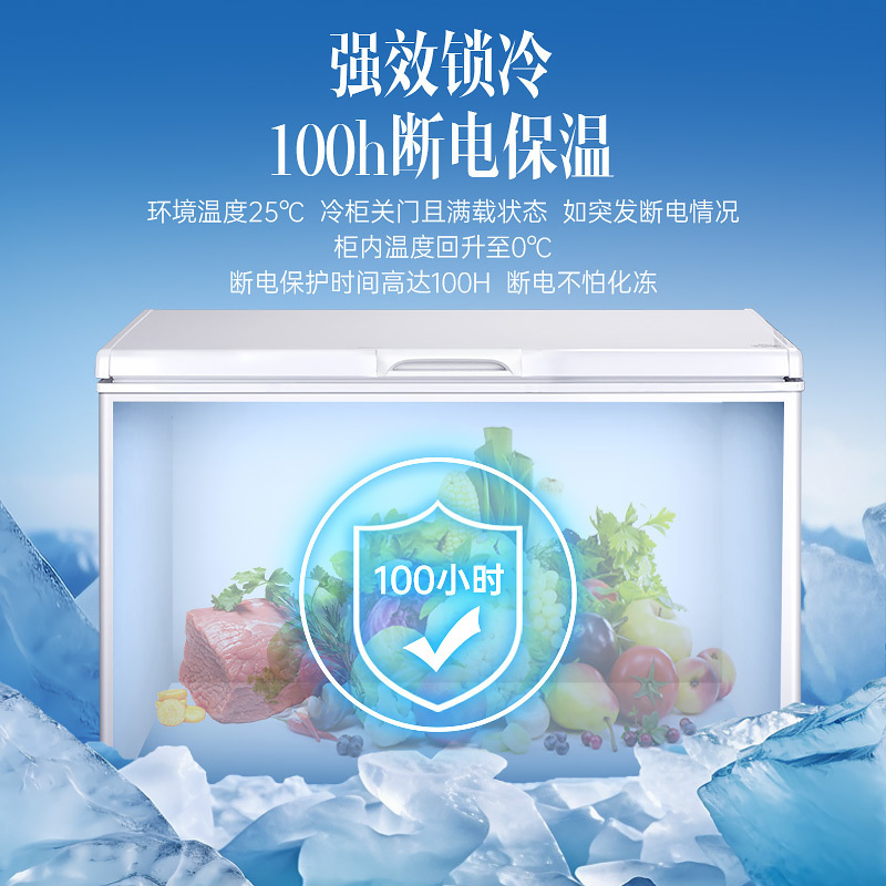 澳柯玛(AUCMA)BC/BD-308HNE大容量家用冰柜一级能效减霜阻霜商用冷柜顶开冷冻冷藏冰箱