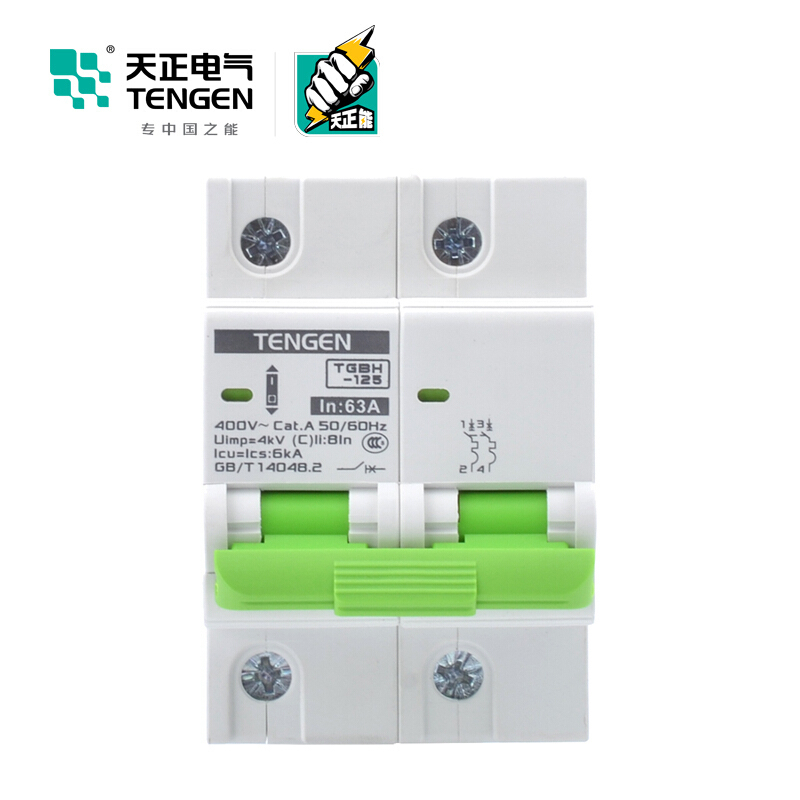 天正电气瑞彩系列TGBH-125 空气开关 6KA 2P C 63A 335013800241 微型断路器