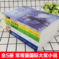 正版全5册穿越魔雾我的跑道荒野飞行长青藤国际大奖小说书系儿童文学怪物农场没完没了的生日三四五六年级小学生课外阅读书籍