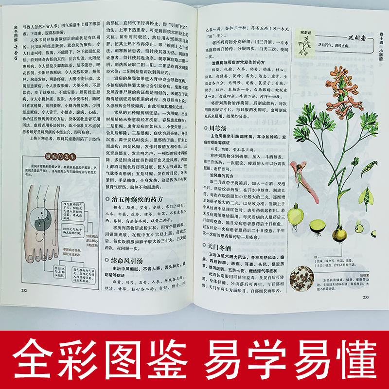 [醉染正版]全5册 中医入门中草药图鉴养生大全彩色书籍本草纲目皇黄帝内经神农本草经汤头歌诀千金方全集李时珍精装彩图全注全高清大图