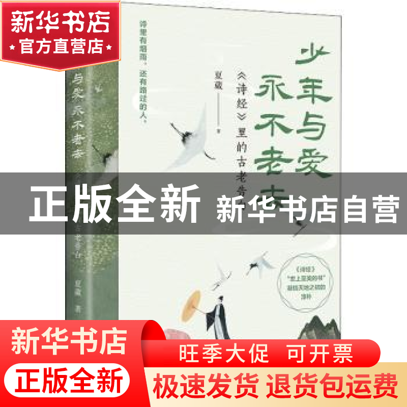 正版 少年与爱永不老去:《诗经》里的古老告白 夏葳 著 江苏凤凰高清大图