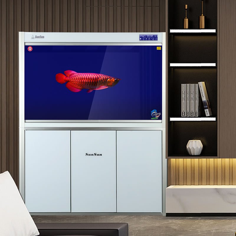 大型鱼缸水族箱免换水生态客厅玻璃缸家用下过滤底滤鱼缸