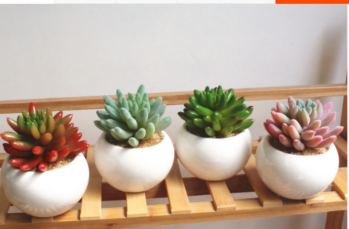 北欧假花仿真多肉植物盆栽假多肉家居店铺绿植摆件塑料装饰花盆景高清大图