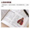 [醉染正版]中国通史全套正版 世界历史书籍书排行榜 正版全套青少年彩图版故事有关类的 中小学生经典文学小说人物传记纲