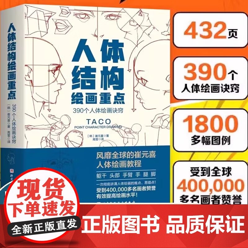 人体结构绘画重点 (韩)崔元喜 提升角色表现力吸引力人体绘画指南特定线条形状使角色更具说服力美术学画画艺术 人体绘画教高清大图