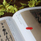 [正版]王羲之尺牍 历代名家尺牍精粹毛笔字帖碑帖注释释文王羲之手札行书书法临摹附历代集评 入门到精通教程成人学生基础教