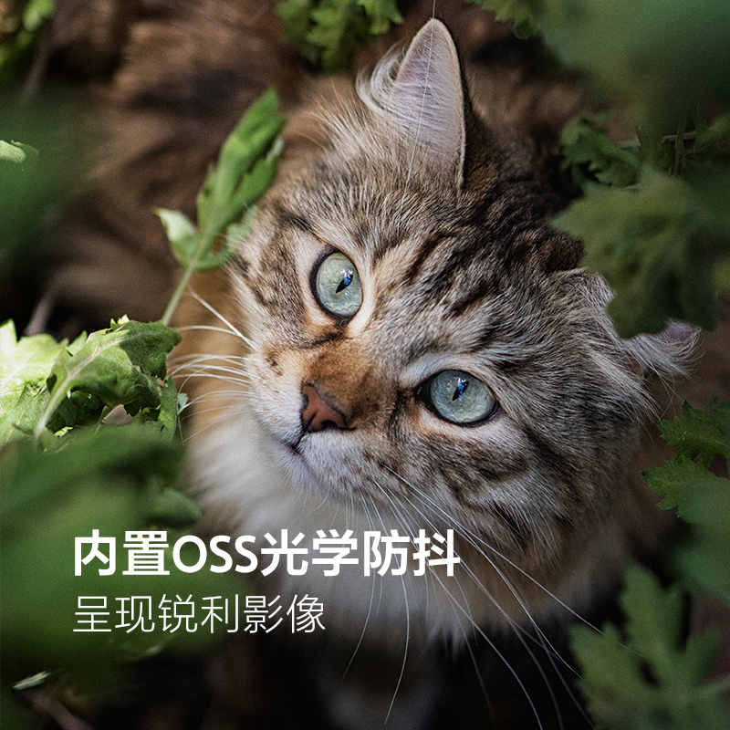 索尼(SONY) E 50mm F1.8 OSS APS-C画幅标准定焦镜头 (SEL50F18/黑色)