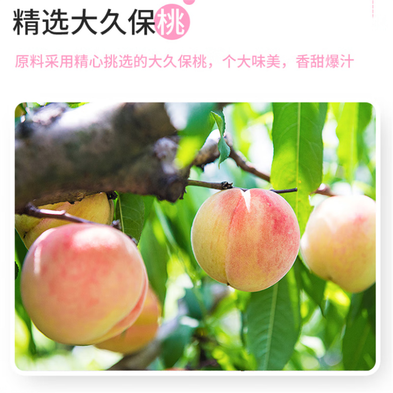 佳果源 100%蜜桃复合果汁 200ml*24瓶高清大图