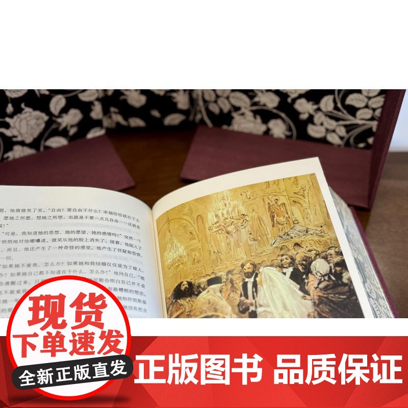安娜卡列尼娜 插图珍藏本列夫托尔斯泰现实主义长篇小说靳戈译本上海译文出版社东欧文学俄国社会桎梏爱情悲剧世界名著 正版图书高清大图