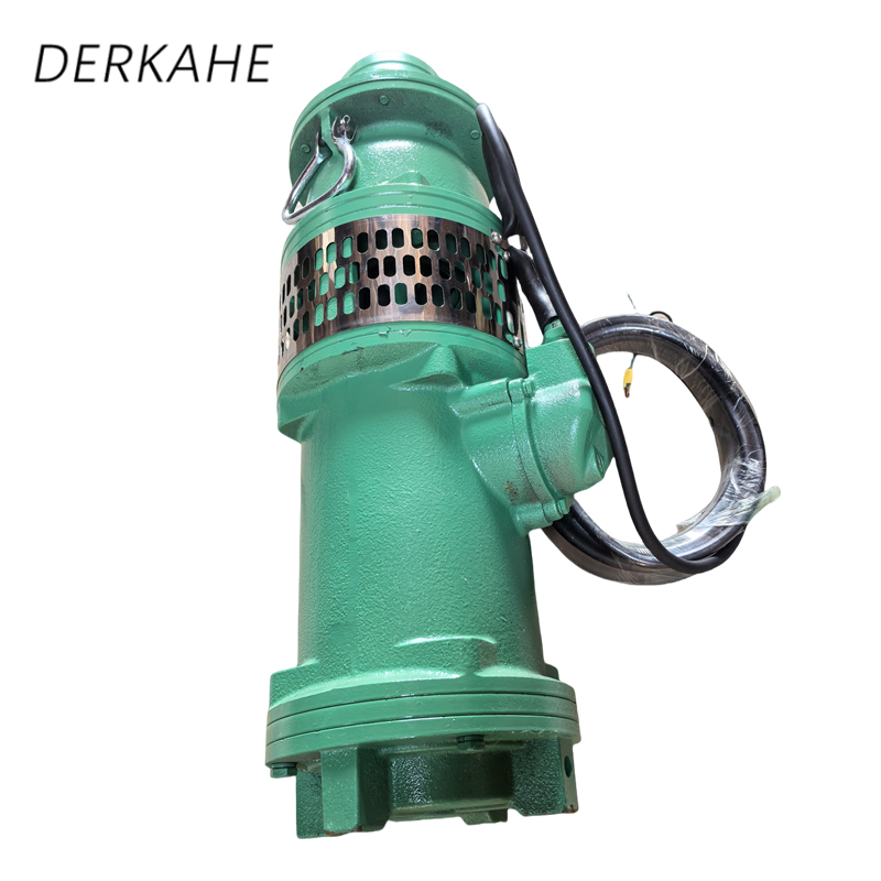 DERKAHE 油浸式潜水电泵 QY25-40-5.5 台高清大图