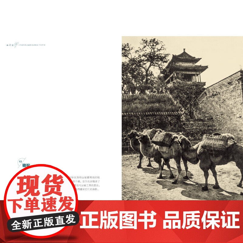[央视网]西洋镜 一个英国风光摄影大师镜头下的中国 遗失在西方的中国史 稳坐中国风光摄影头把交椅的摄影大师 GD高清大图