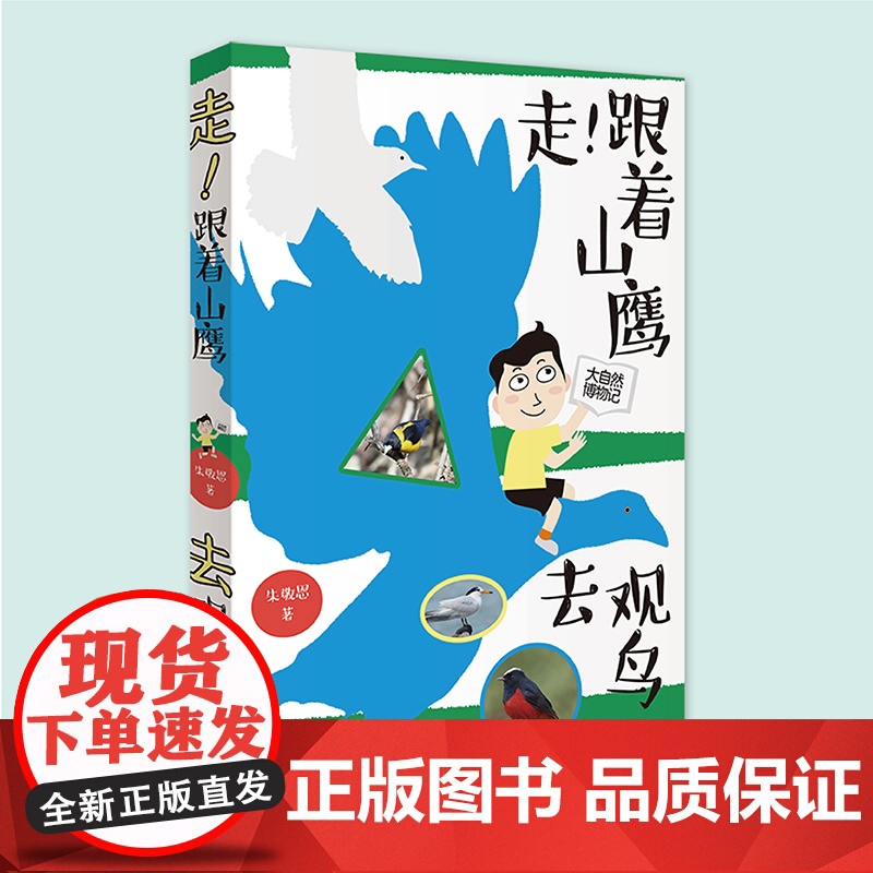 走!跟着山鹰去观鸟 山鹰博士朱敬恩观鸟日记实拍清晰照片轮廓图 野外观鸟手册鸟类观察指南珍稀鸟类形态图鉴大自然博物记百科全