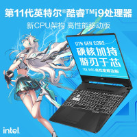 [RTX3060]华硕(ASUS) 天选2Plus 十一代酷睿i9-11900H 32G内存 512GB固态 300Hz 17.3英寸轻薄本电竞发烧游戏本设计师笔记本电脑