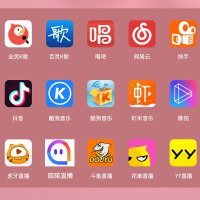 屁颠虫(Hifier)X9无线话筒音响一体麦克风电视KTV家用全民K歌神器手机蓝牙唱歌内置声卡直播设备套装 玫瑰金