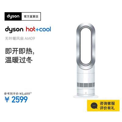 戴森(Dyson) AM09多功能无叶电风扇 冷暖两用家用客厅节能取暖器暖风机 白镍色