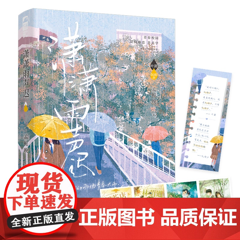 潇潇雨声迟 孟栀晚著清清暗恋这件难过的小事同作者 青春校园双向暗恋 美学言情实体小说书籍 学霸叶潇x天之骄子阮雨声