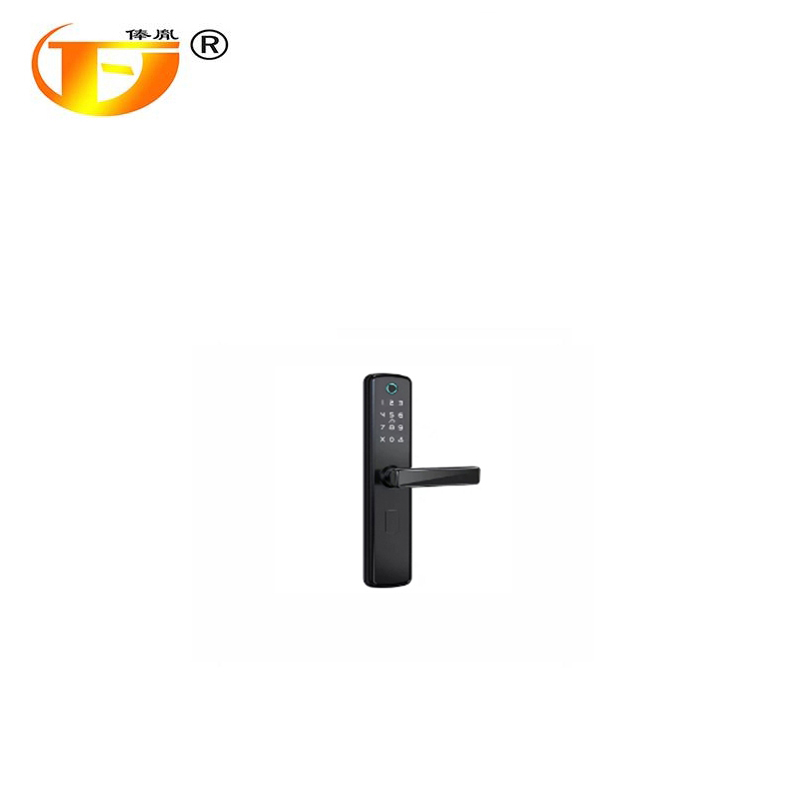 俸胤 密码锁 黑色 单位:把高清大图