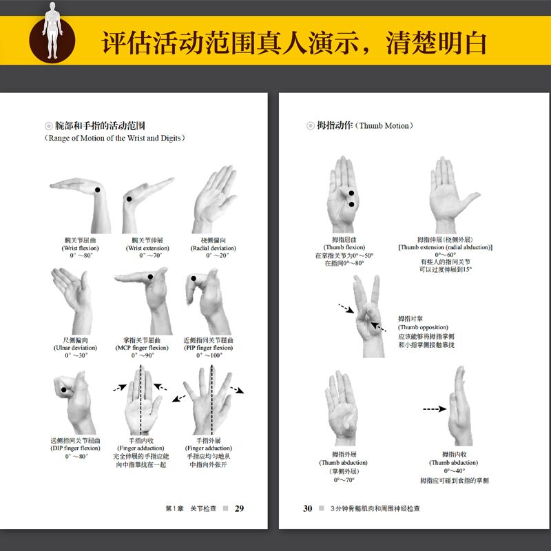 [醉染正版]正版 3分钟骨骼肌肉和周围神经检查 医院门诊检查方法掌握检查要点和手法 临床实践医生实习 身体格检查图谱高清大图
