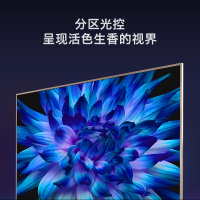 创维(SKYWORTH)75A7 75英寸 4K超高清光学防蓝光护眼智能液晶平板电视机80