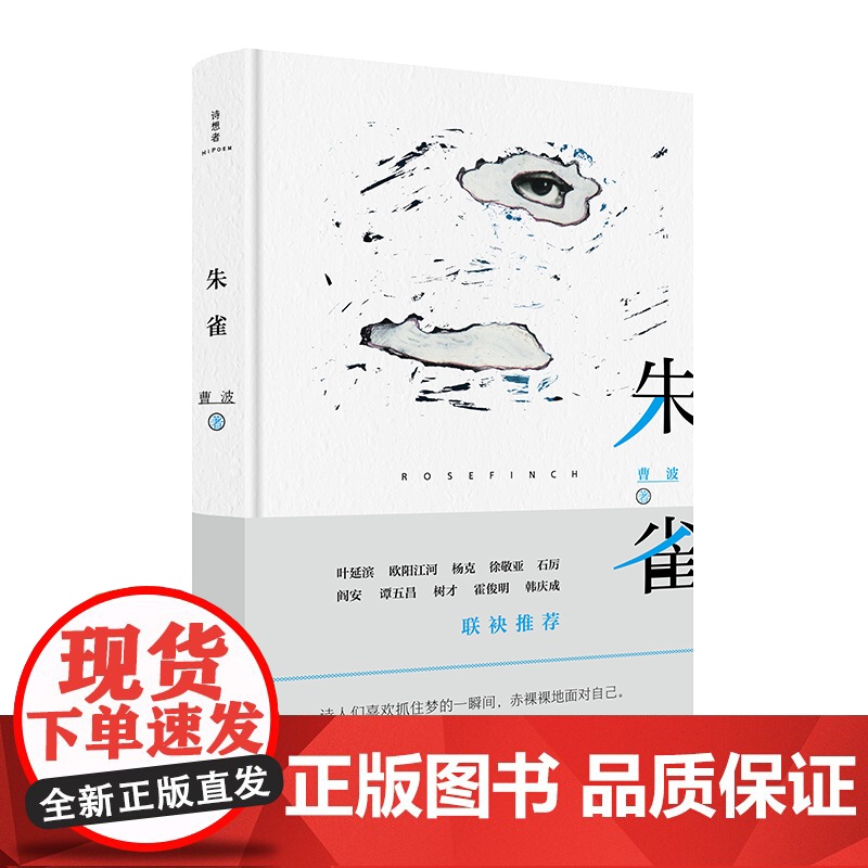 诗想者·朱雀 曹波/著 文学 诗歌 当代诗歌 诗想者 广西师范大学出版社高清大图