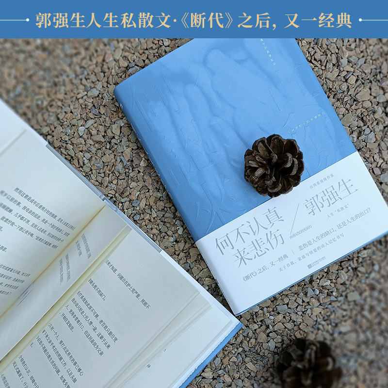 醉染图书何不认真来悲伤 向着记忆的光前行9787559462466高清大图