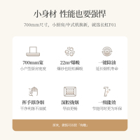 长虹F01自清洗22m3大吸力家用厨房排烟抽油烟机吸油烟机抽烟机