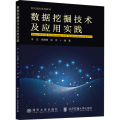 数据挖掘技术及应用实践