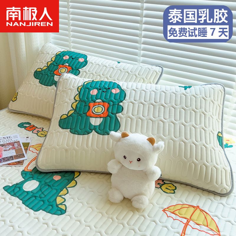 夹乳胶枕套一对装枕巾单人枕头套保护枕芯套装48*74cm高清大图