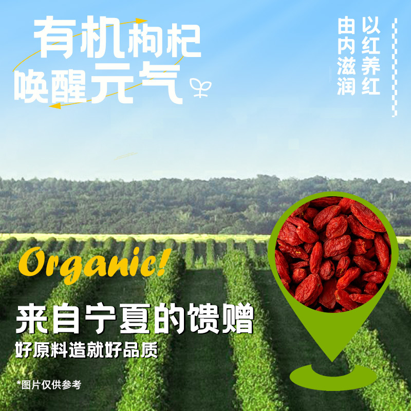 寿全斋无糖菊花茶植物饮料750ml*12大瓶装0脂肪0能量0糖饮料整箱批发