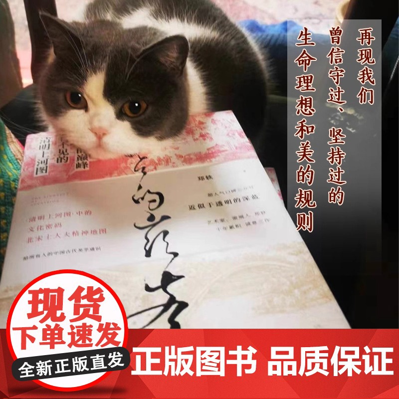 入世的巅峰 看不见的清明上河图 再现我们曾信守过的 坚持过的生命理想和美的规则 入世的巅峰 精美宣纸画图 正版书籍高清大图