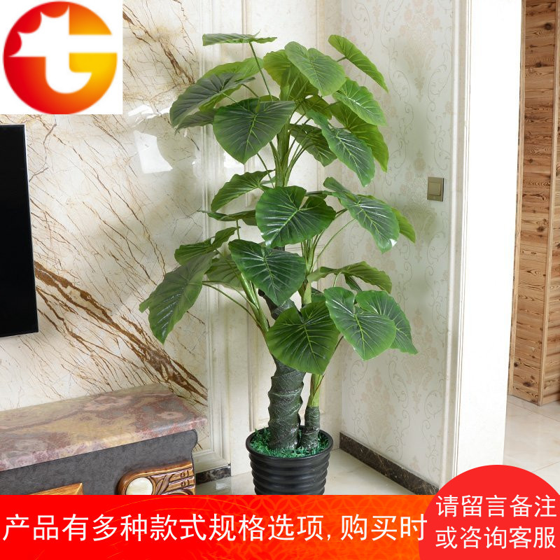 假树滴水观音仿真植物树绿植大型盆栽客厅办公室内假花落地装饰花