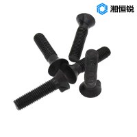 湘恒锐 沉头带榫螺栓 M20×55mm 个