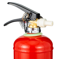 神龙 灭火器 水基型(水雾)环保灭火器2升 车载家用及企业商用灭火器2L MSWZ/2 消防器材