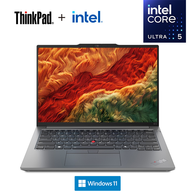 ThinkPad E14 19CD AI 2024 经典商务本 14英寸笔记本电脑 英特尔酷睿Ultra 5 125H 64G 1T固态 锐炫Arc显卡 2.2K高色域 银 定制