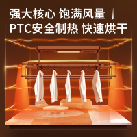 太阳雨电动晾衣架阳台语音声控米家控制T猫精灵自动升降晾衣架家用自动风干烘干消毒超薄智能晾衣机